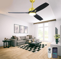 Ceiling Fans with Lights and Remote - 52 Inch Smart App Control Modern Low 