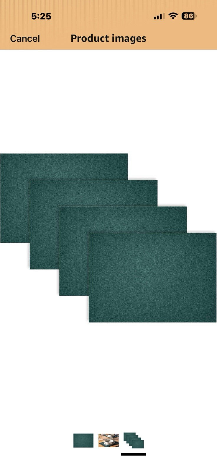 Fortessa Loft Felt Placemat, 12.2 x 16.5 Rectangle Placemat (Set of 4), Forest