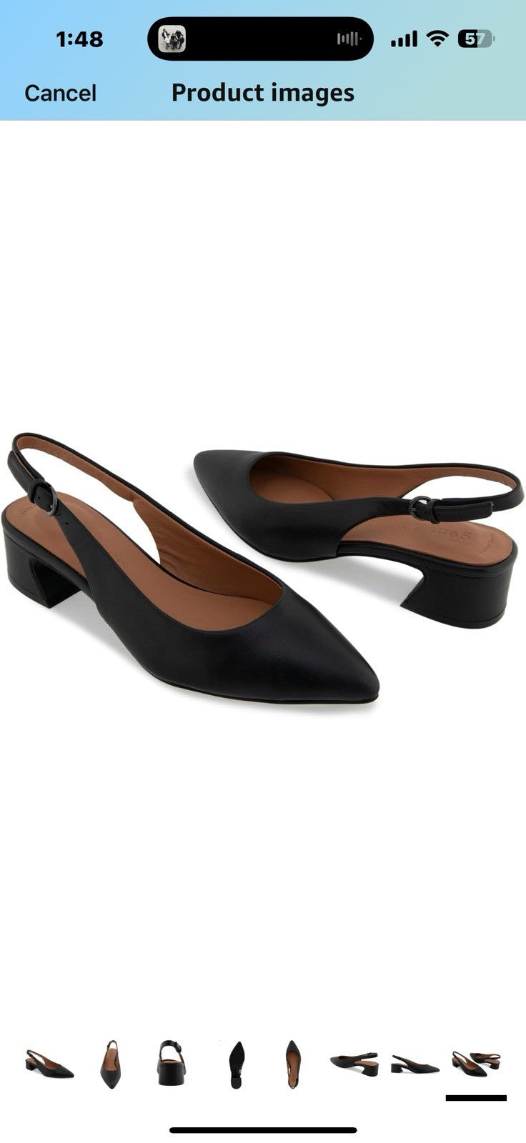 Gentle Souls by Kenneth Cole Women's Georgia Pump Size 11