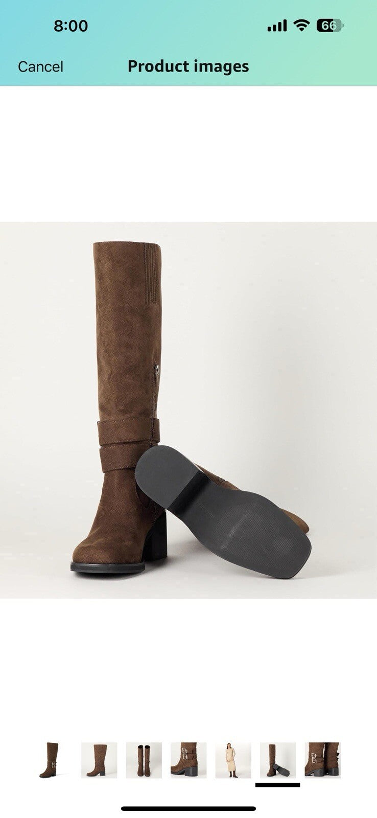 The Drop Women's Sage Tall Biker Boot with Buckles 8.5