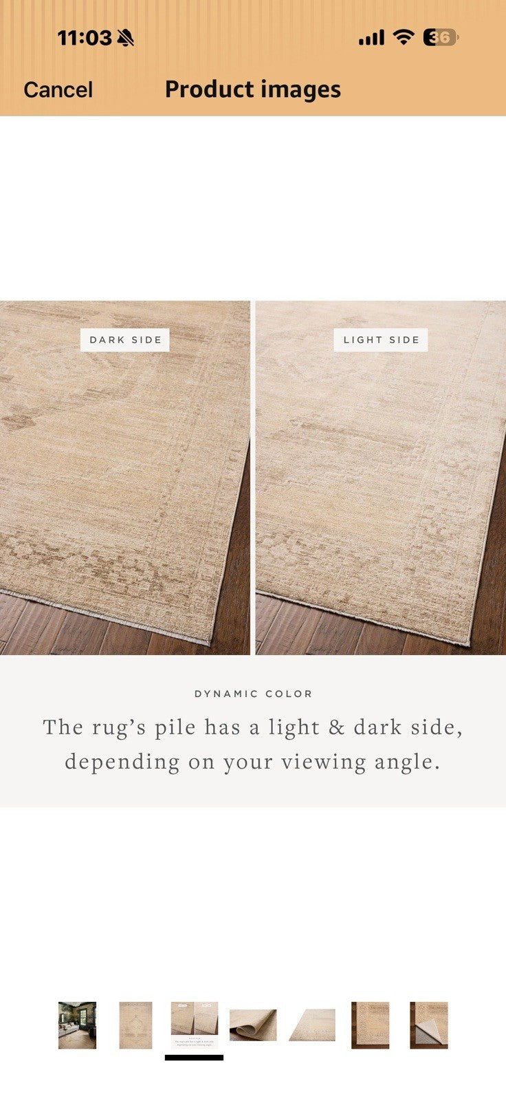 Loloi Chris Loves Julia Palma Collection PLM-07 Wheat/Taupe 5'-3" x 7'-6" 