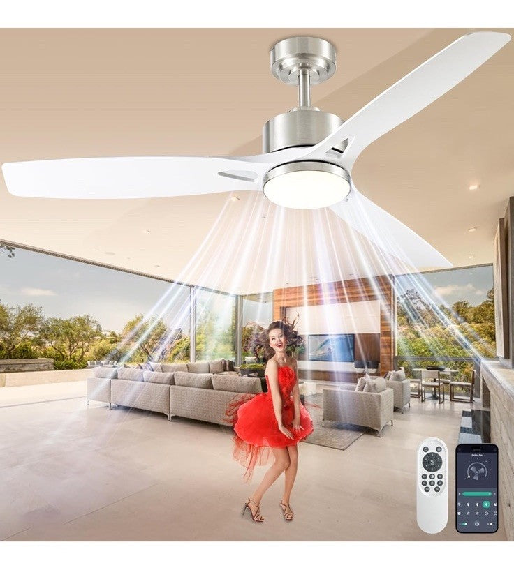 52 Inch Ceiling Fans with Lights and Remote Control - Outdoor Indoor 