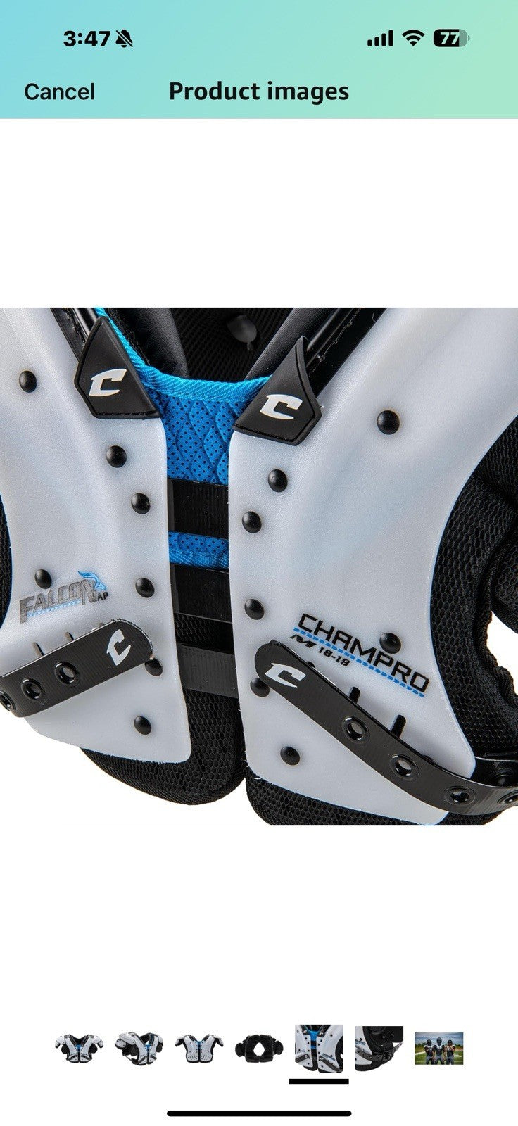 CHAMPRO Falcon All Purpose Shoulder Pad Large 