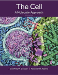 Cell : A Molecular Approach by Geoffrey Cooper and Kenneth Adams (2022,...