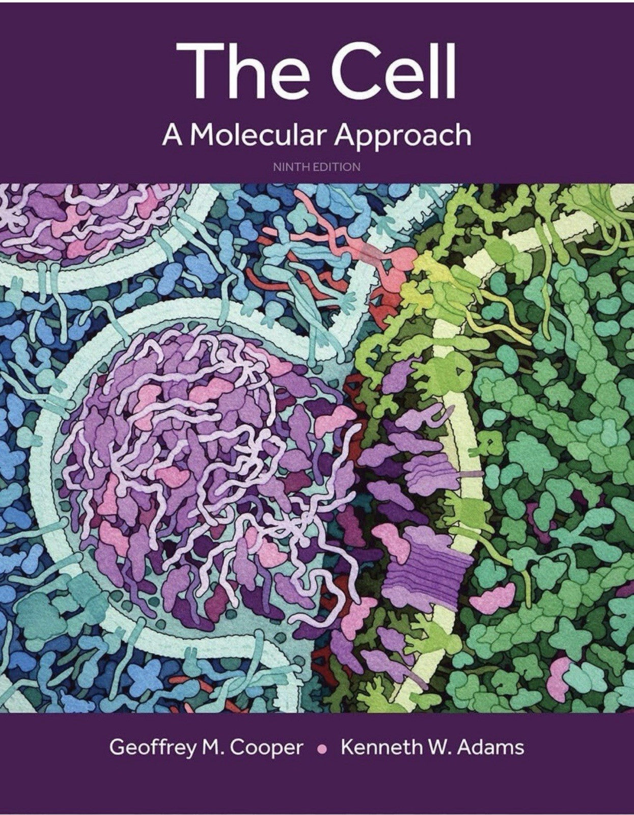 Cell : A Molecular Approach by Geoffrey Cooper and Kenneth Adams (2022,...
