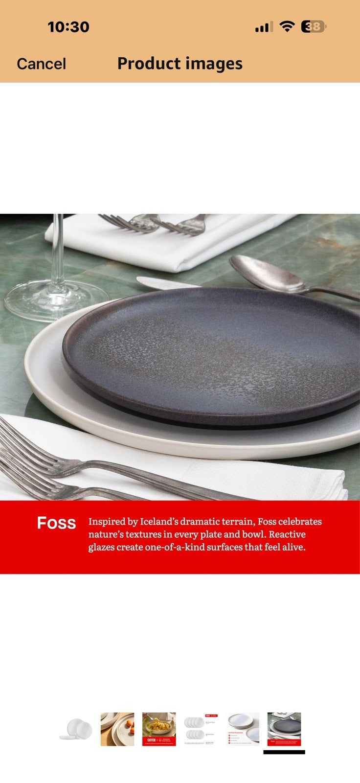 Eater x Zwiesel Fortessa Foss Stoneware, 12 Piece Dinnerware Set (Service for 4