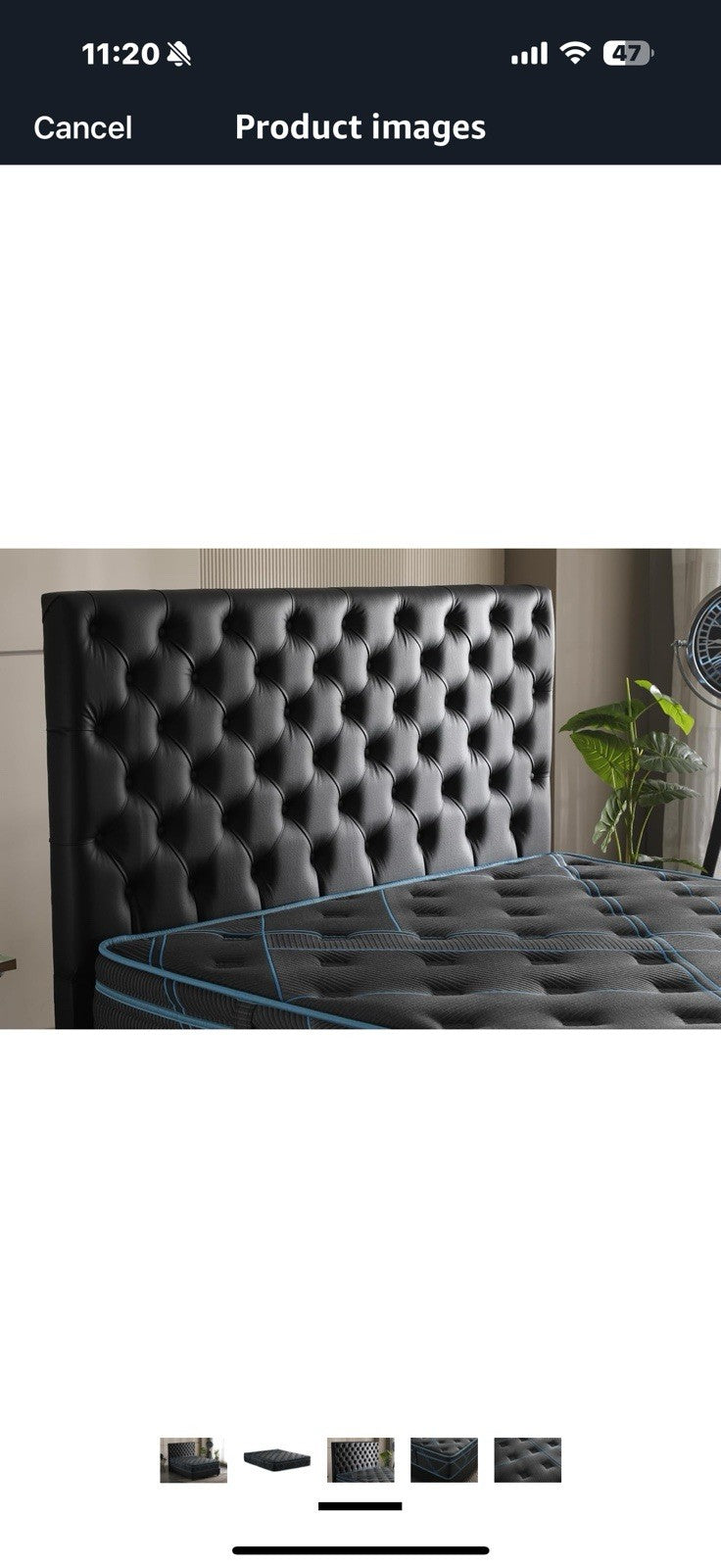 Ottomanson Twin 13" Luxury Black vBlue Eurotop Mattress - Inspired 