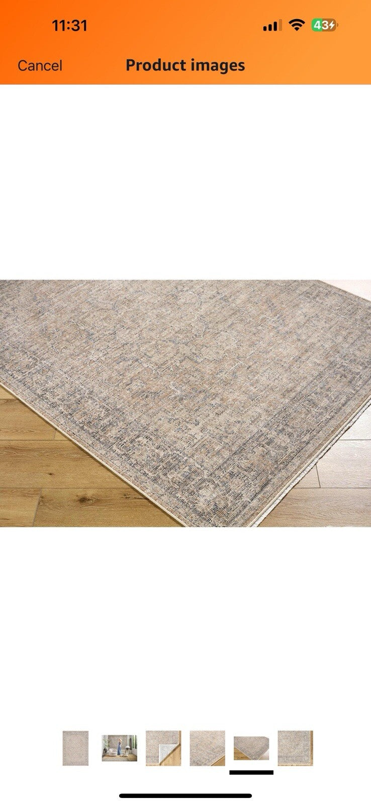 Livabliss x Galey Alix Maria Elena III Vintage Medallion Area Rug, 7'10" x 10