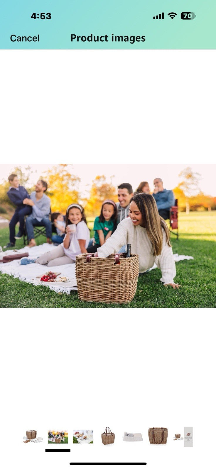 PICNIC TIME Terrabella Handwoven Picnic Basket, Earth Friendly Basket, 
