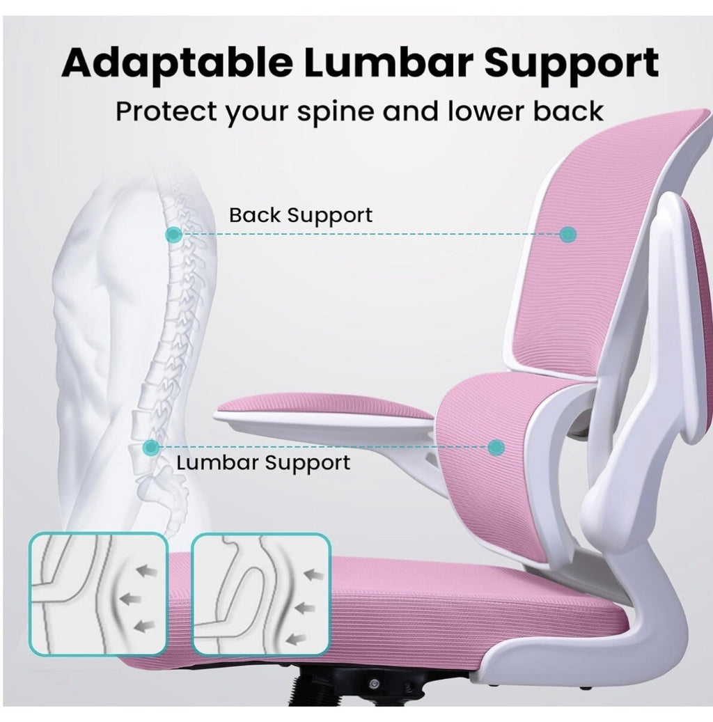 Razzor Ergonomic Desk Chair with Lumbar Support and Adjustable Armrests,