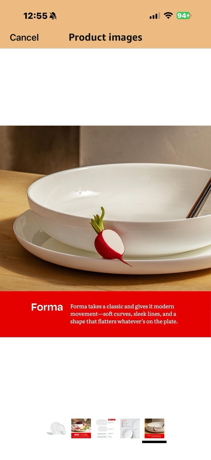 Eater x Zwiesel Fortessa Forma Fine China, 16 Piece Dinnerware Set