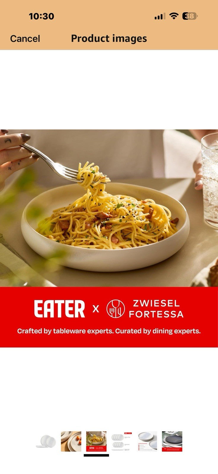 Eater x Zwiesel Fortessa Foss Stoneware, 12 Piece Dinnerware Set (Service for 4
