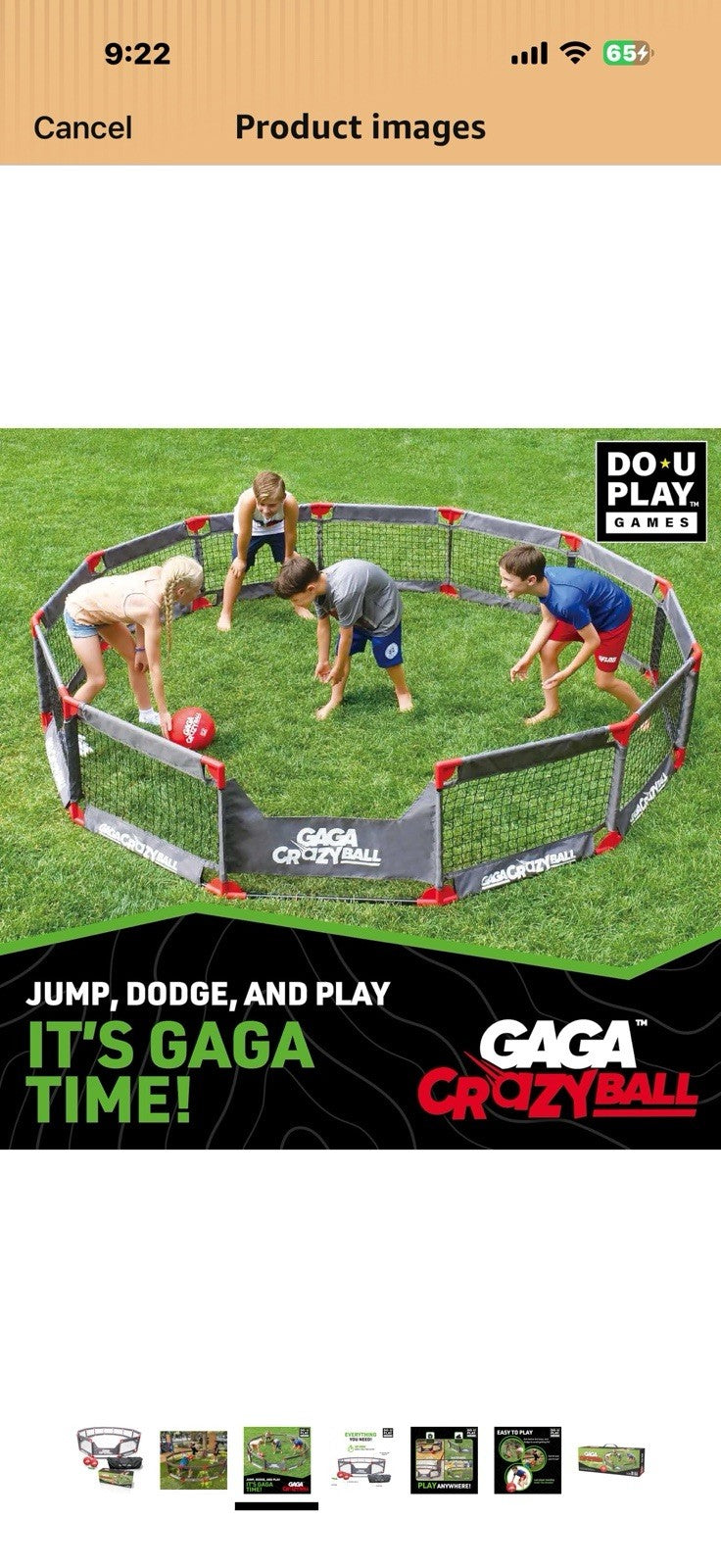 Do You Play GAGA CrazyBall Game Kit (DS)