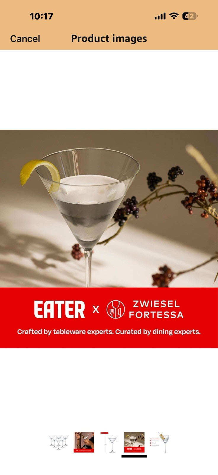 Eater x Zwiesel Fortessa Folly Crystal Glass, 6 Ounce Martini (Set of 6), Clear