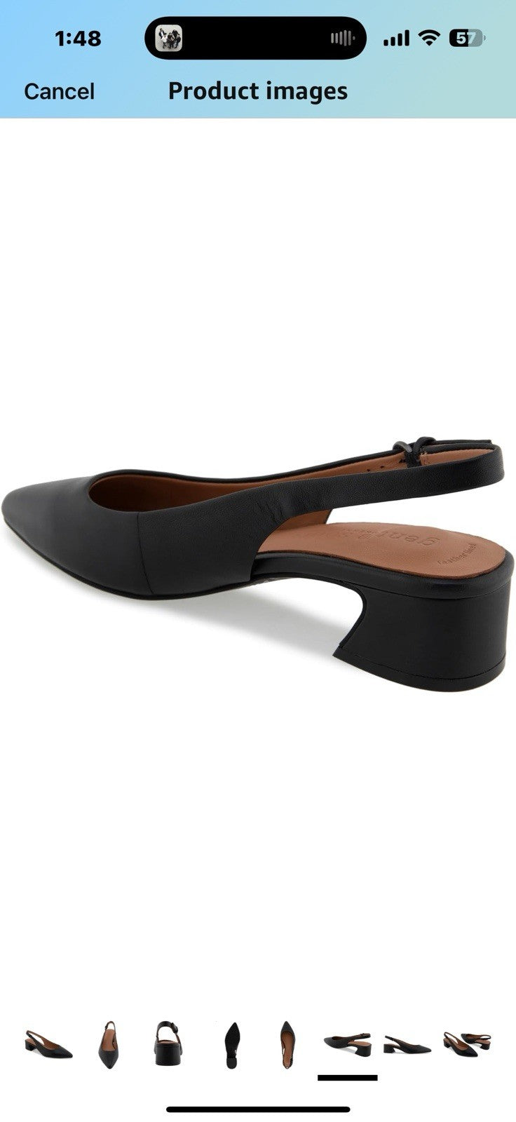 Gentle Souls by Kenneth Cole Women's Georgia Pump Size 11