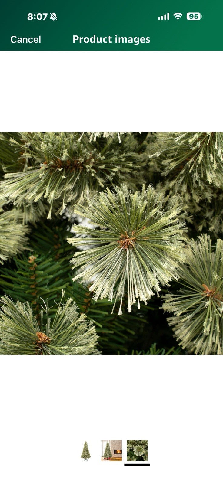 National Tree Company First Traditions Arcadia Pine Cashmere Christmas