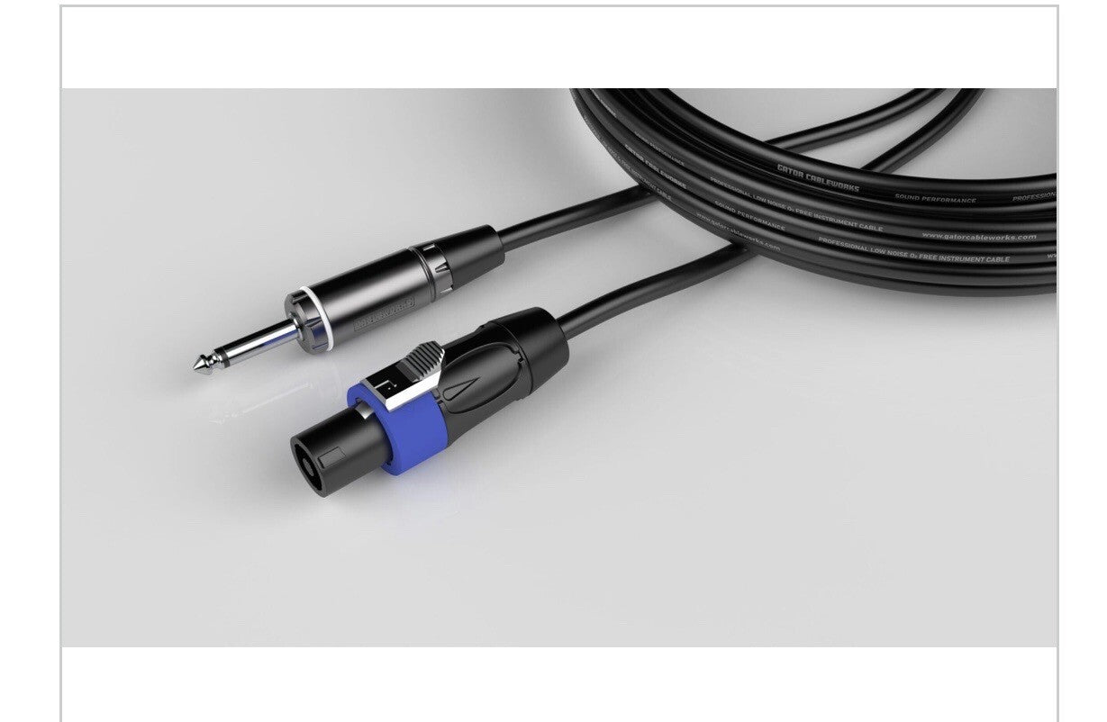 100 Foot TS To Twist Lock Connector Speaker CableGCWC-SPK-100-1 TL