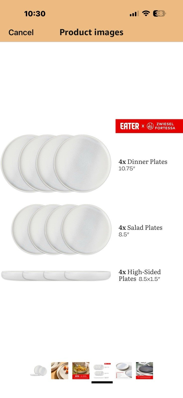 Eater x Zwiesel Fortessa Foss Stoneware, 12 Piece Dinnerware Set (Service for 4