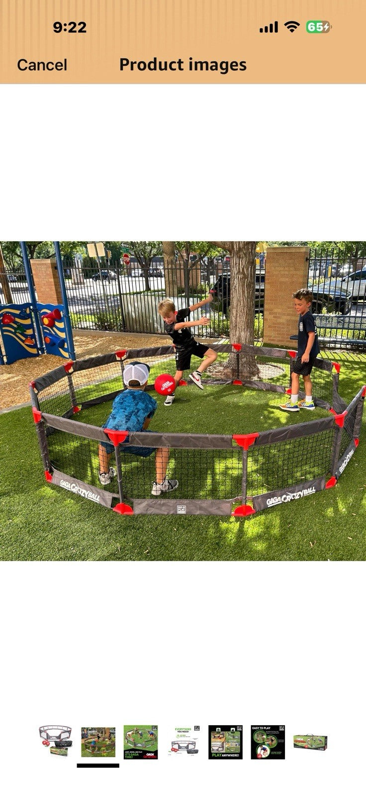 Do You Play GAGA CrazyBall Game Kit (DS)