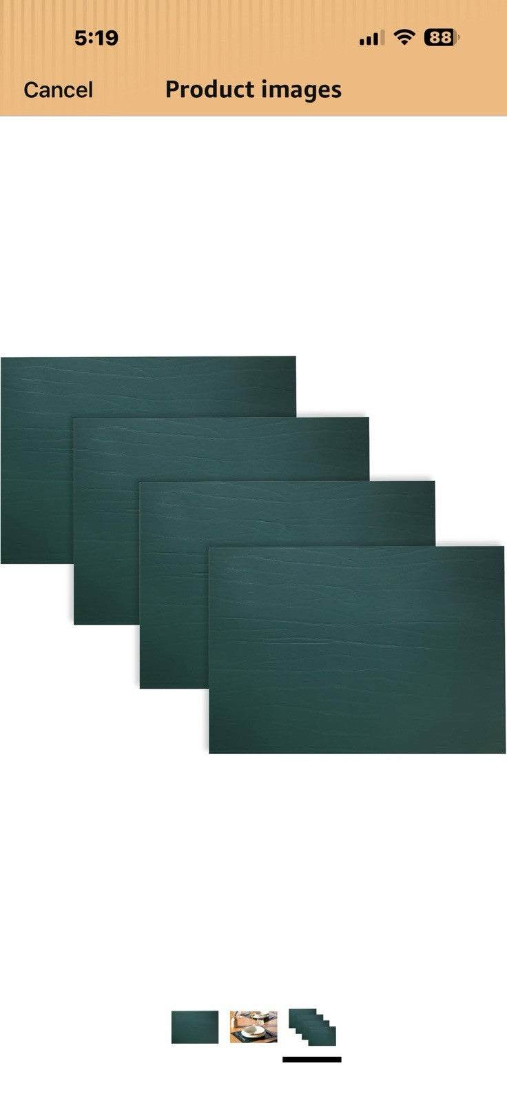 Fortessa Strata Leather Placemat, 12.2 x 16.5 Rectangle Placemat (Set of 4), 