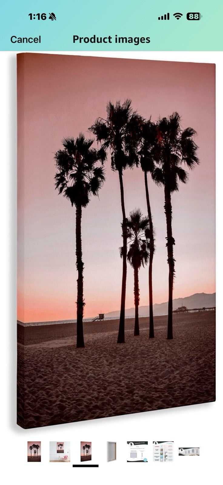 Stupell Industries Stanta Monica Palms Pink Canvas Wall Art design 
