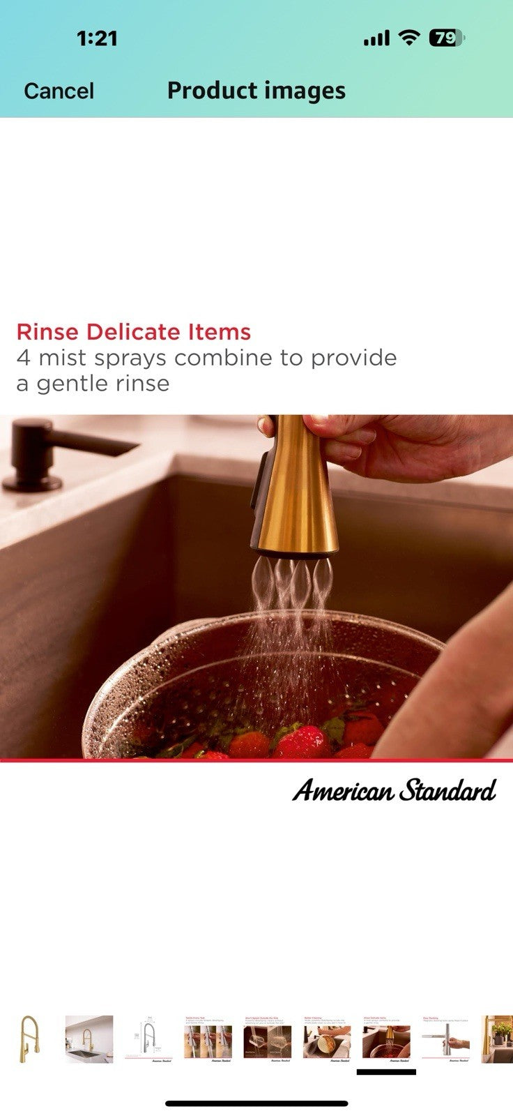 American Standard 104882GN00 Aspirations Semi-Pro Kitchen Sink Faucet, 1.8 GPM