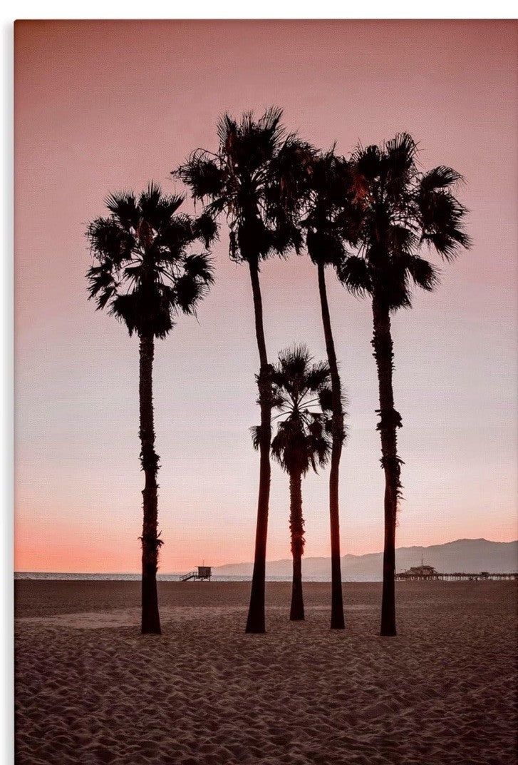 Stupell Industries Stanta Monica Palms Pink Canvas Wall Art design 