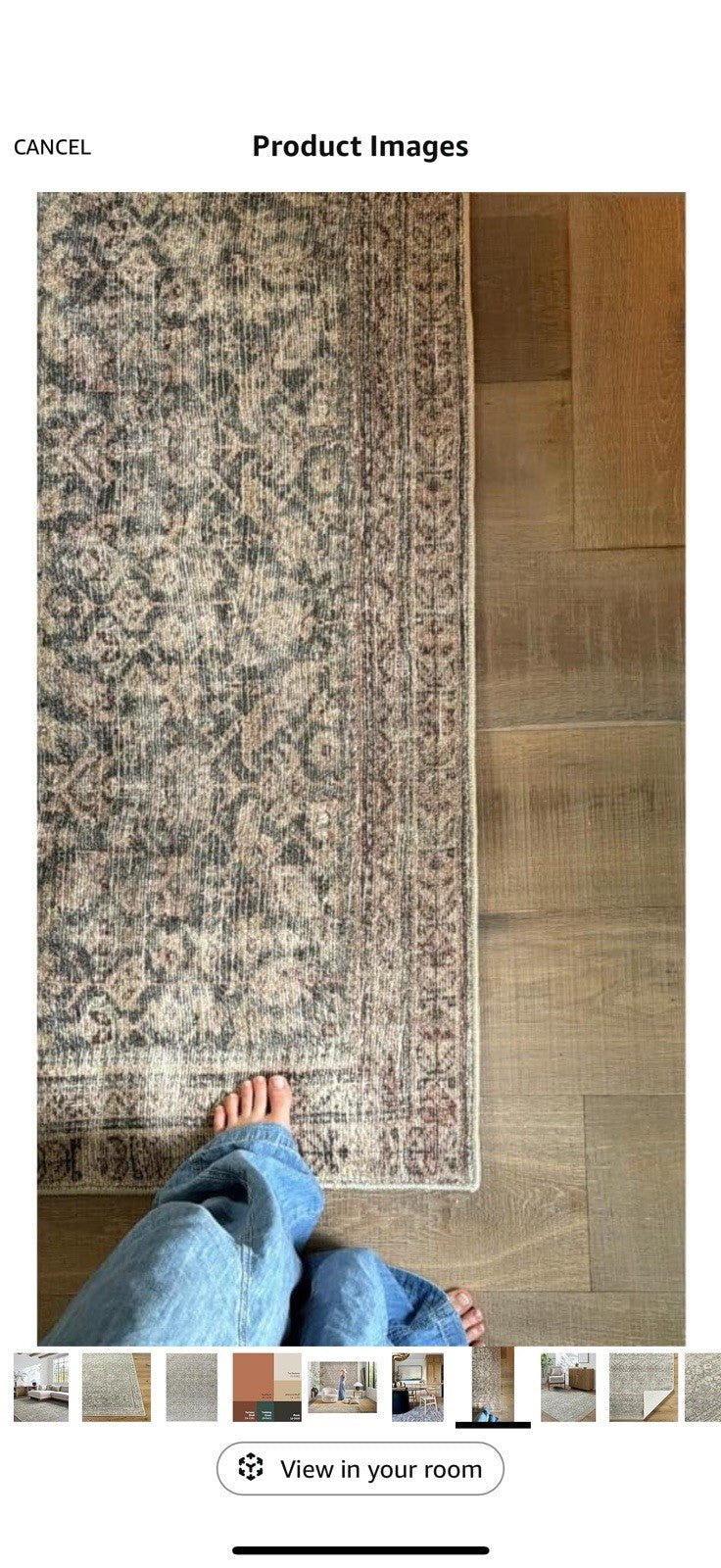 Livabliss x Galey Alix Collins Avenue III Vintage Damask Area Rug, 7'9" x 10'